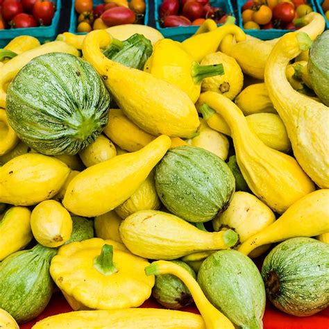 Green summer squash .